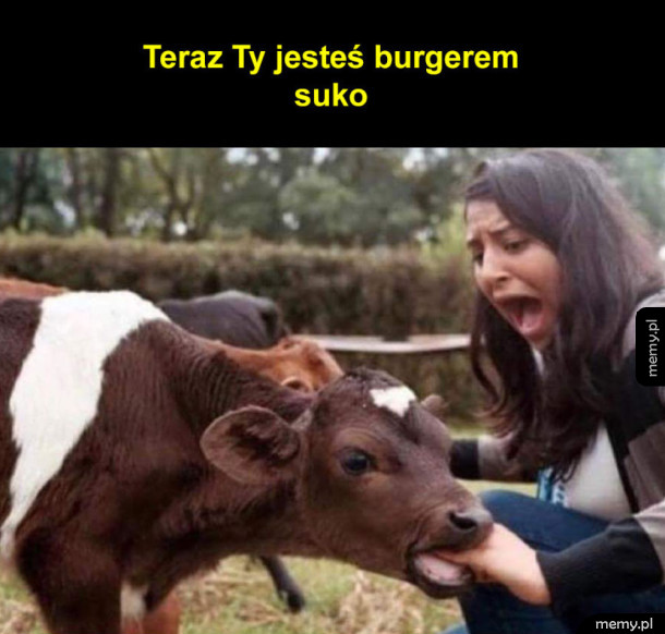 Teraz Ty jesteś burgerem