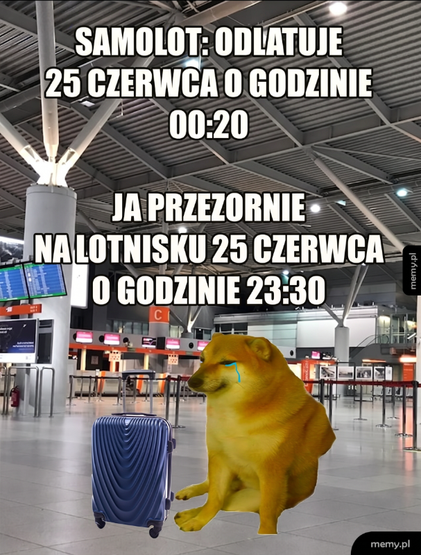 Pies w walizce na lotnisku, z pustym terminalem w tle.