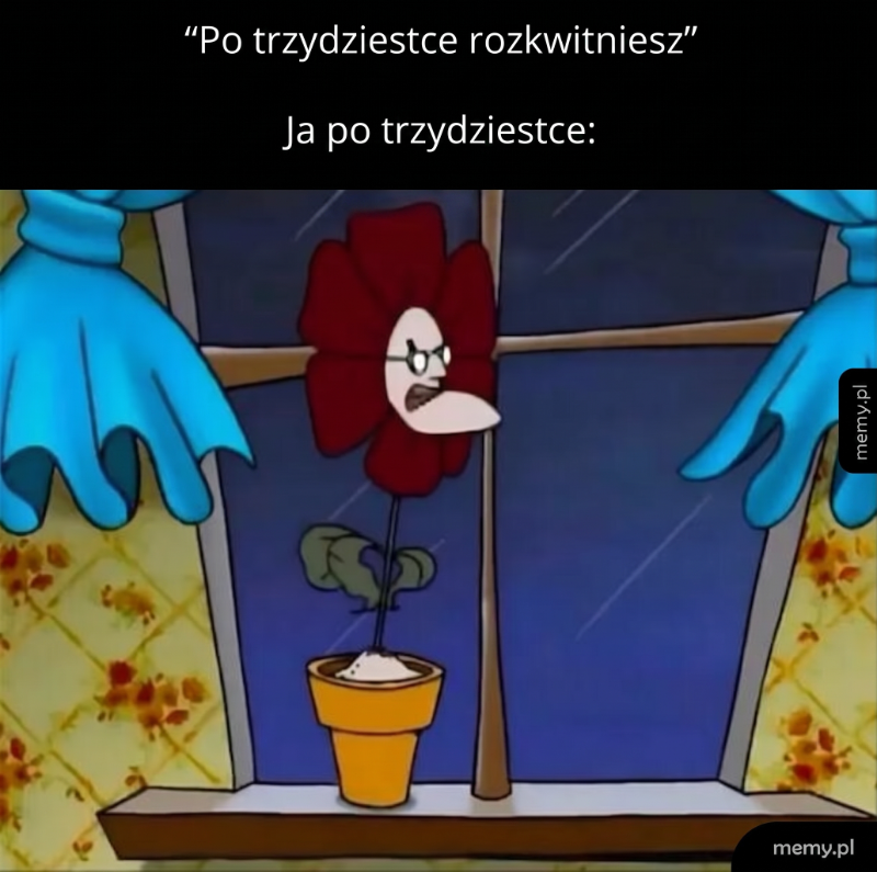 Starość nie radość...
