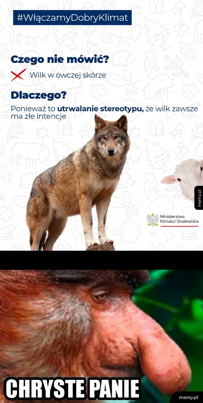 Wilk w owczej skórze z tekstem o stereotypach.