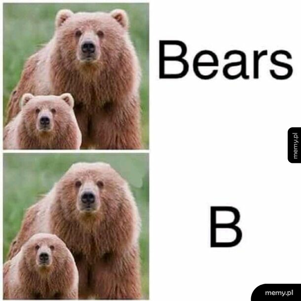B-ears