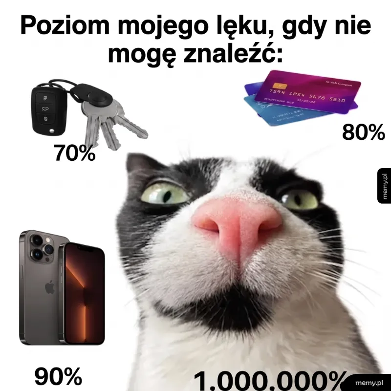Najgorszy koszmar kociarza