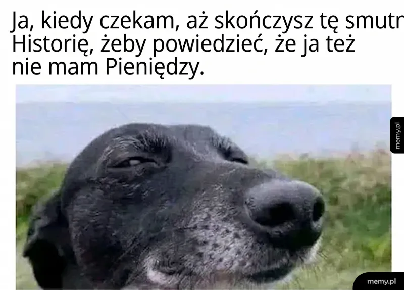 Smutny pies z zamkniętymi oczami na tle natury.