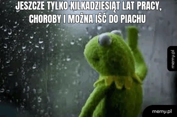 Zielony żaba wpatrująca się przez okno w deszcz.