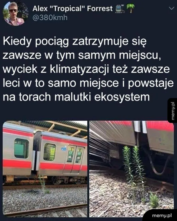 Aww