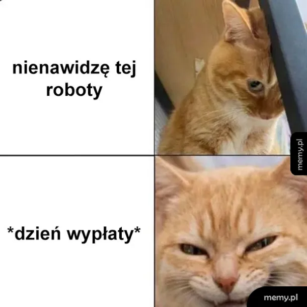 Jeden dzień w miesiącu