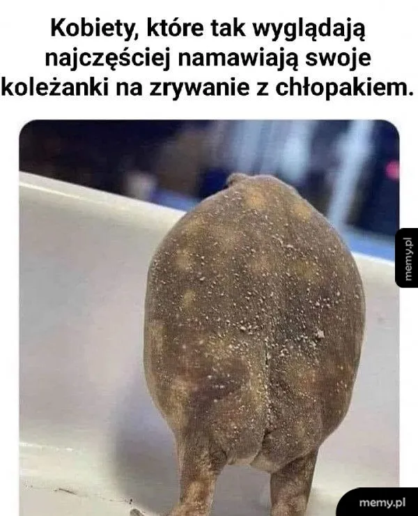cechy szczególne - brak pośladków przy nadwadze