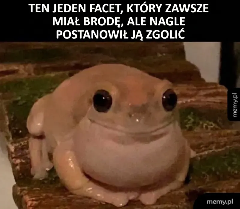 Różowa żaba siedząca na drewnianym podłożu.