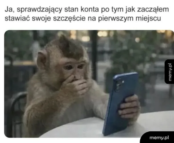 Małpa z telefonem, zaskoczona stanem konta.