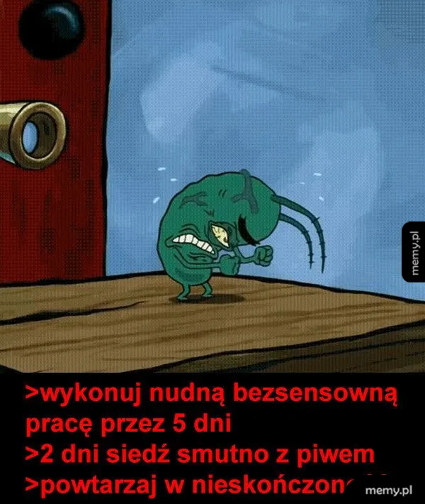 rzycia cut