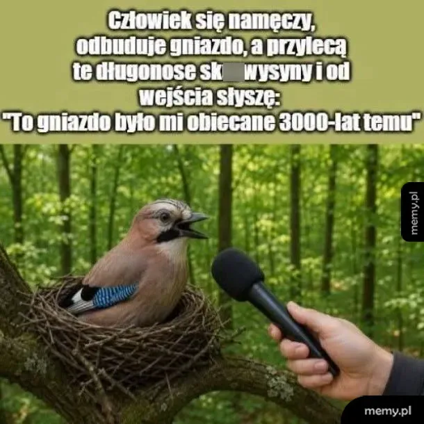Typowe