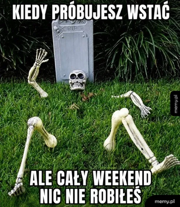 Zmęczon ☠️