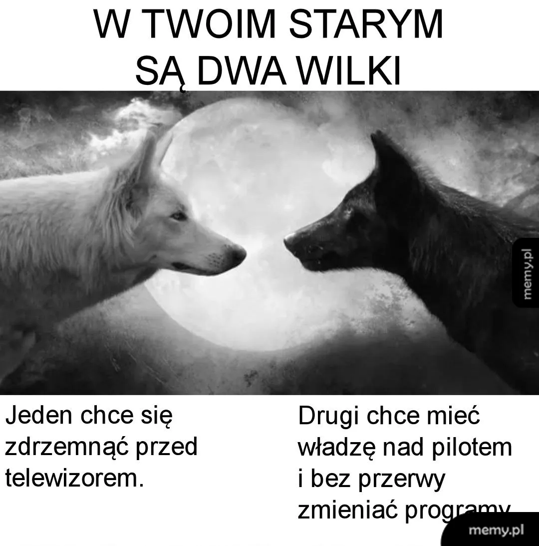 Mądrze wyglądający biały i czarny wilk na tle księżyca z napisem o dwóch wilkach.