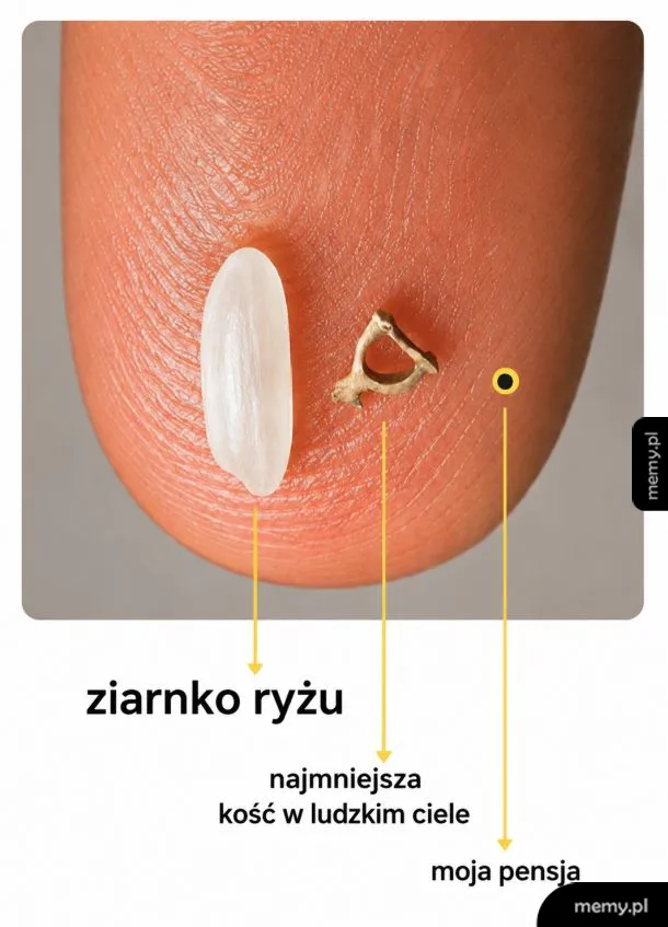 Porównanie wielkości ziarnka ryżu, najmniejszej kości i pensji na palcu.