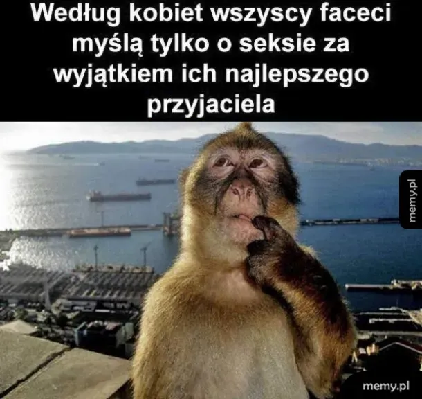 Zamyślona małpa na tle zatoki i statków