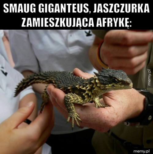 Smoki istnieją :D