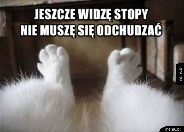 Nie muszę się odchudzać