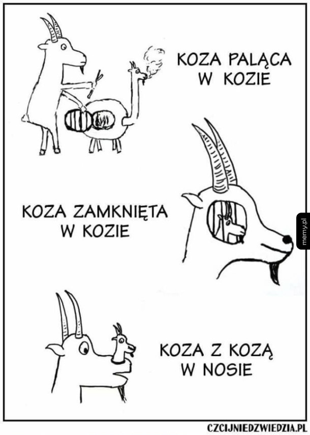 Kozie sprawy