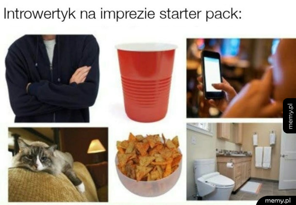 Introwertyk na imprezie