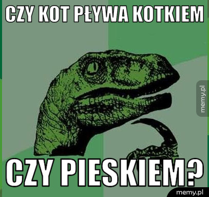 Czy kot pływa kotkiem