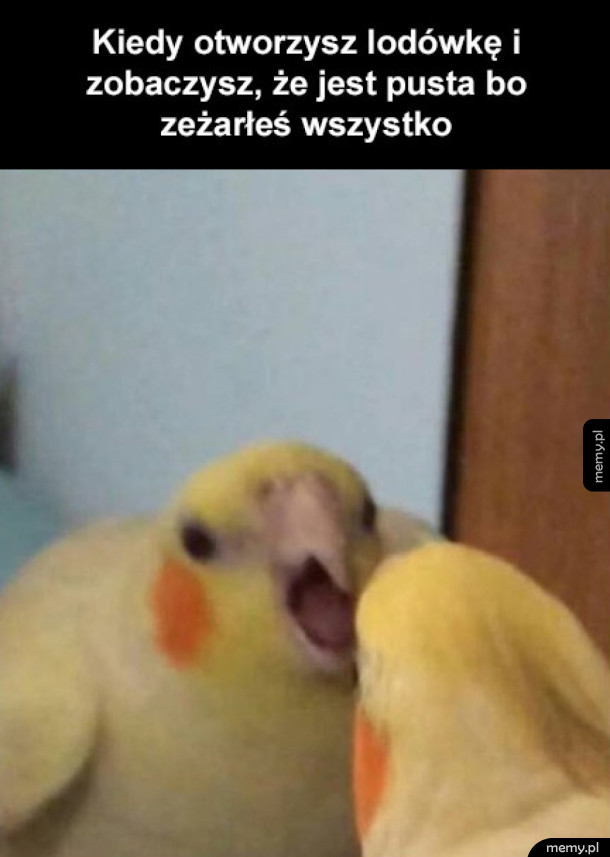 Najgorzej