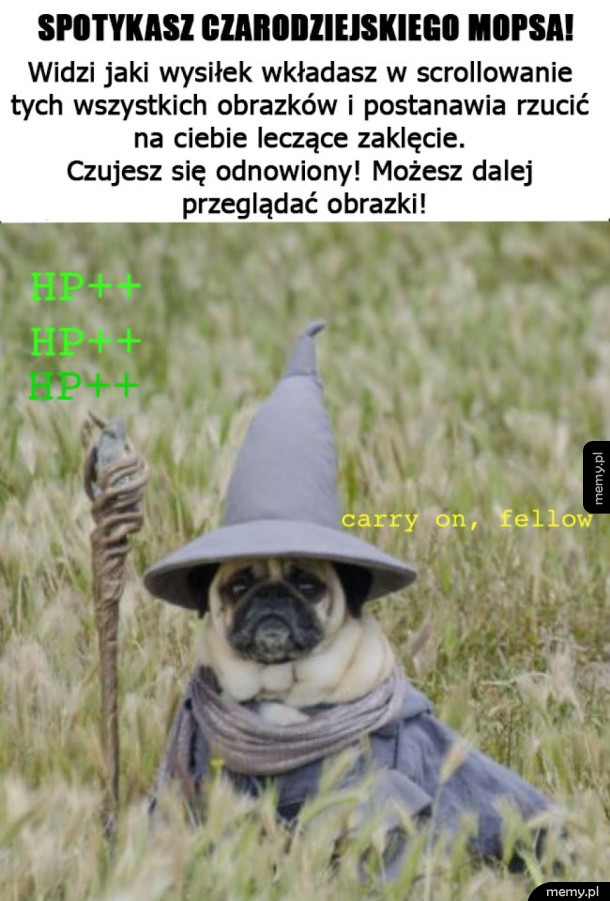Magiczny mops odnowienia