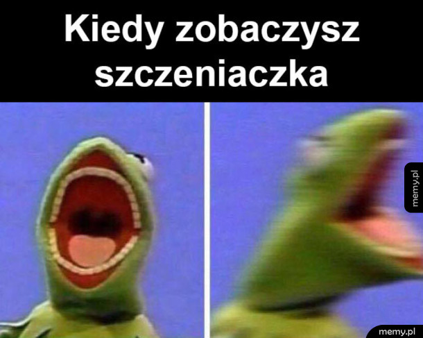 Szczeniaczek!