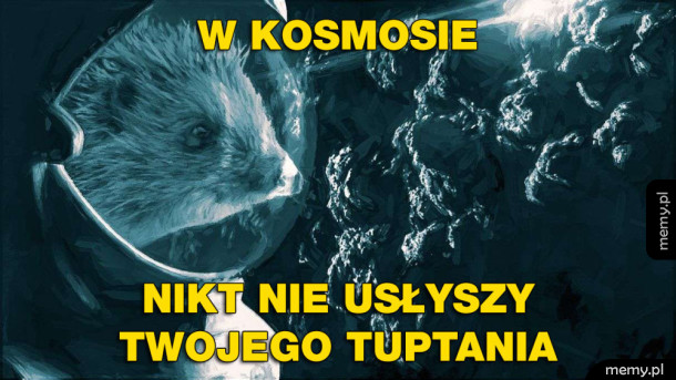 Kosmiczny jeż