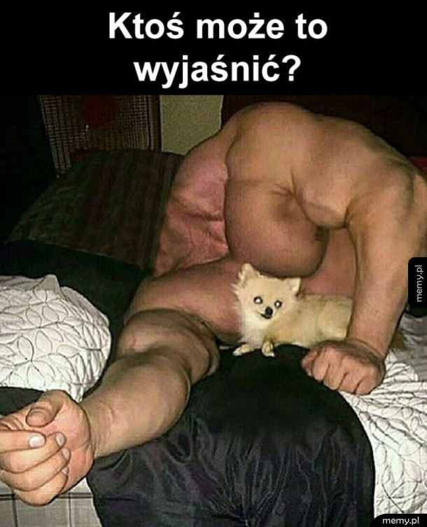 Wtf