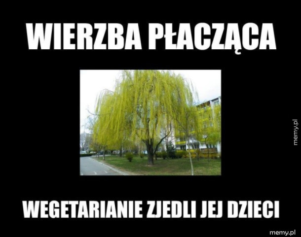 Tak było