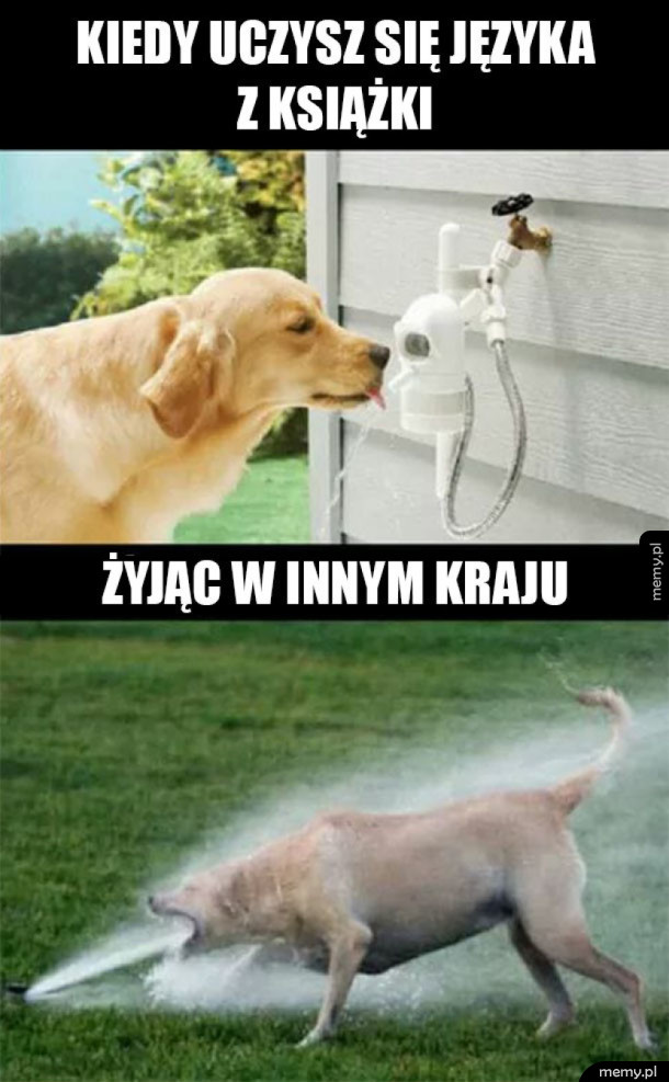 Zbyt dużo wiedzy