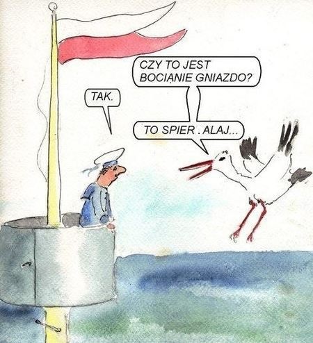 Bocianie gniazdo