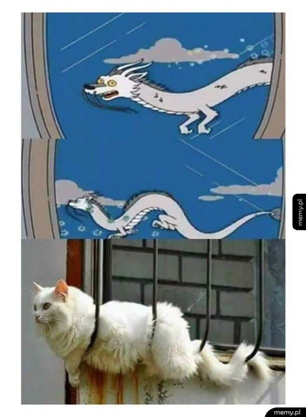 Koteł