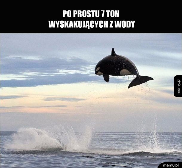 Robi wrazenie