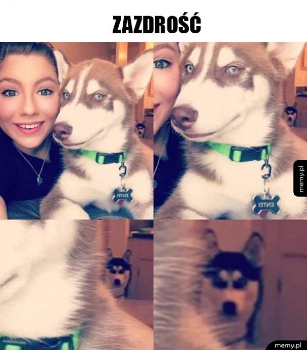 Husky