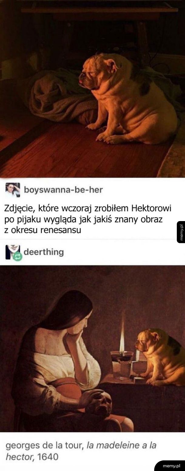 Coś w tym jest