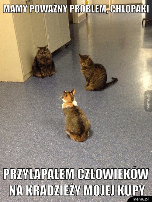 Poważny problem