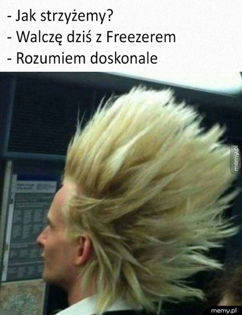 U Fryzjera