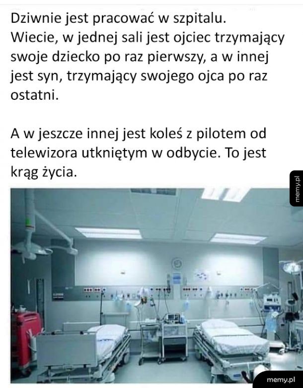 Krąg życia