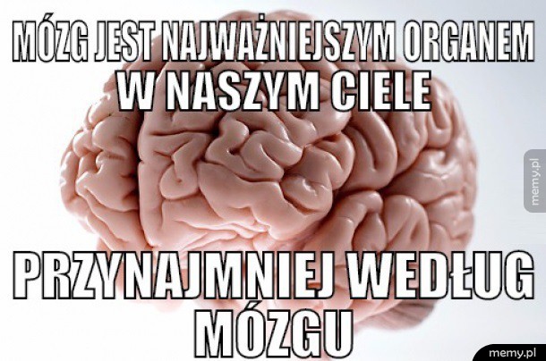 Mózg