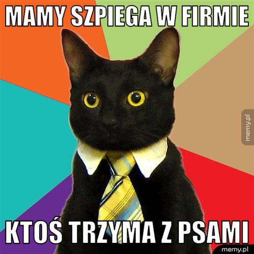 Mamy szpiega w firmie ktoś trzyma z psami