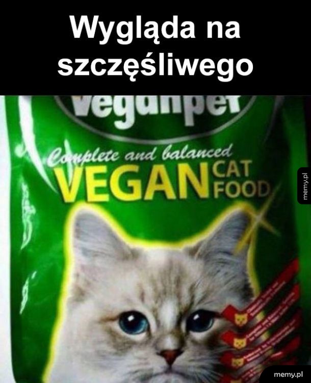 Wege kot