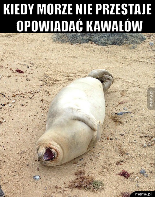 Znam ten uczuć
