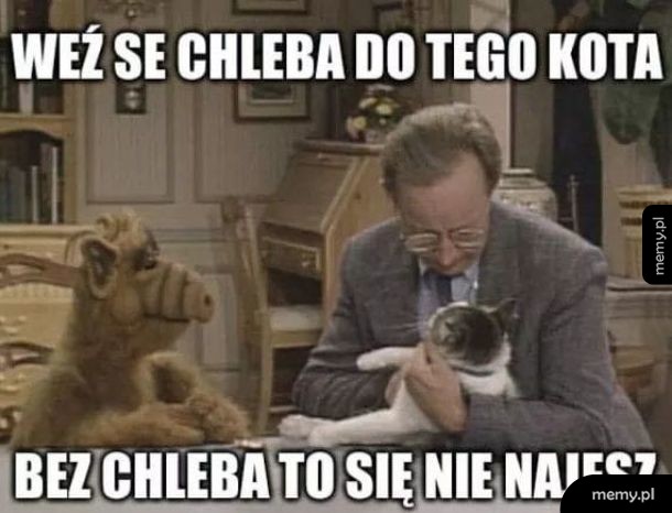Dobrze radzi