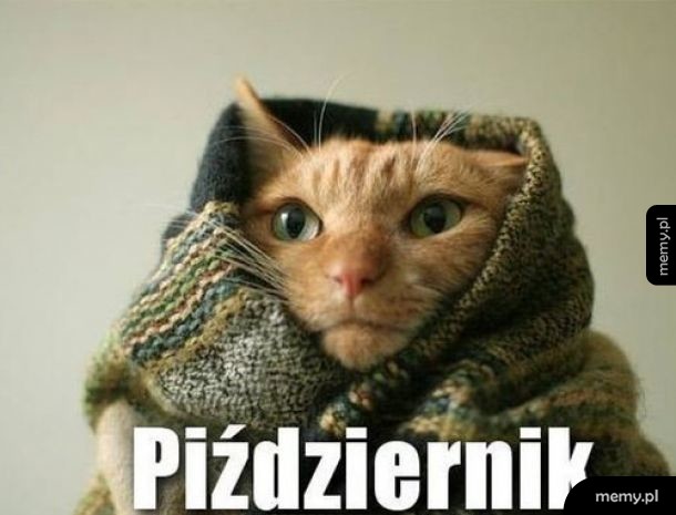 Idzie zima...