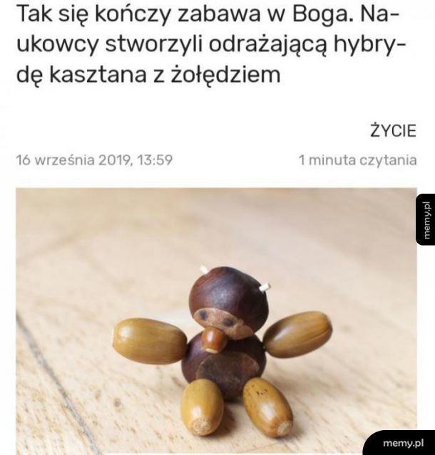 Hybryda