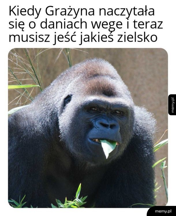 Wege