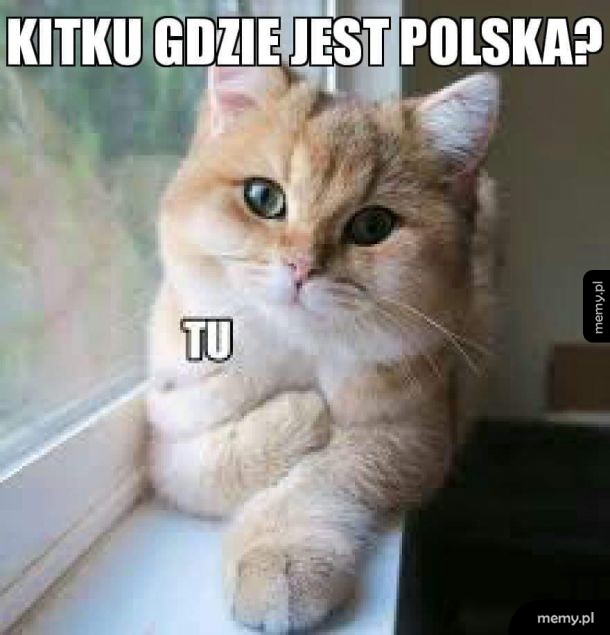 Patriotyczny Kitku
