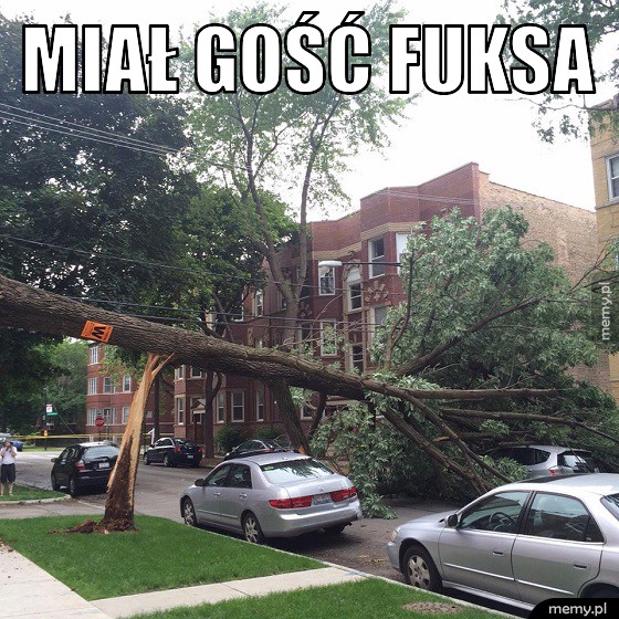 Miał gość fuksa.