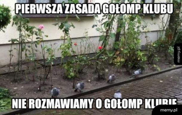 Nadziemny krąg